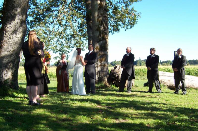 Vows Under The Tree Of Life