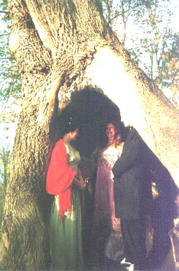 Their Tree!